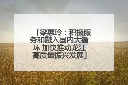 梁惠玲：积极服务和融入国内大循环 加快推动龙江高质量振兴发展