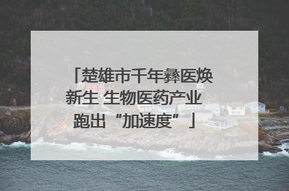 楚雄市千年彝医焕新生 生物医药产业跑出“加速度”