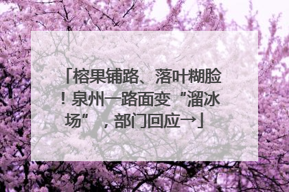 榕果铺路、落叶糊脸！泉州一路面变“溜冰场”，部门回应→