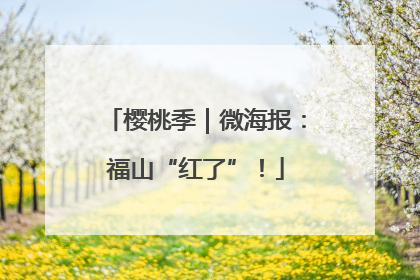 樱桃季｜微海报：福山“红了”！