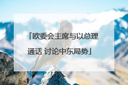 欧委会主席与以总理通话 讨论中东局势