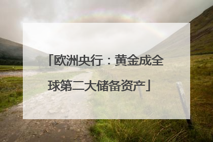欧洲央行：黄金成全球第二大储备资产