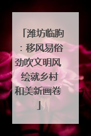 潍坊临朐：移风易俗劲吹文明风 绘就乡村和美新画卷