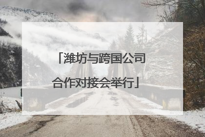 潍坊与跨国公司合作对接会举行