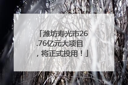 潍坊寿光市26.76亿元大项目，将正式投用！