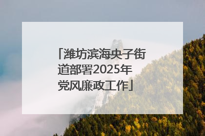 潍坊滨海央子街道部署2025年党风廉政工作