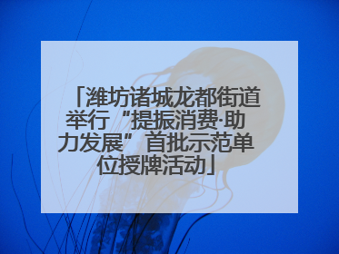 潍坊诸城龙都街道举行“提振消费·助力发展”首批示范单位授牌活动