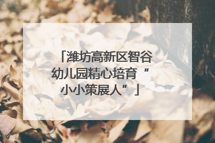 潍坊高新区智谷幼儿园精心培育“小小策展人”