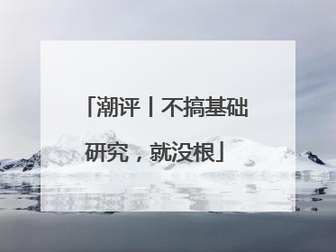 潮评丨不搞基础研究，就没根