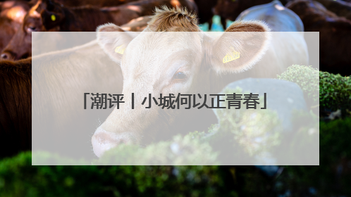 潮评丨小城何以正青春