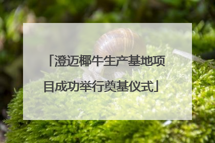 澄迈椰牛生产基地项目成功举行奠基仪式