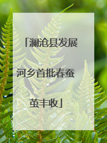 澜沧县发展河乡首批春蚕茧丰收
