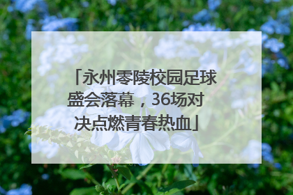永州零陵校园足球盛会落幕，36场对决点燃青春热血