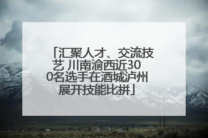 汇聚人才、交流技艺 川南渝西近300名选手在酒城泸州展开技能比拼