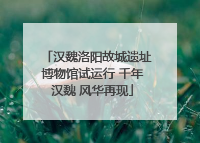 汉魏洛阳故城遗址博物馆试运行 千年汉魏 风华再现