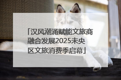 汉风潮涌赋能文旅商融合发展2025未央区文旅消费季启幕