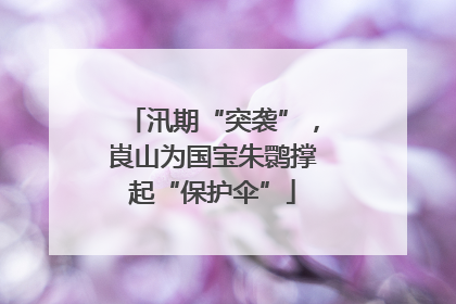 汛期“突袭”，崀山为国宝朱鹮撑起“保护伞”