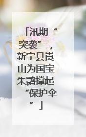 汛期“突袭”，新宁县崀山为国宝朱鹮撑起“保护伞”