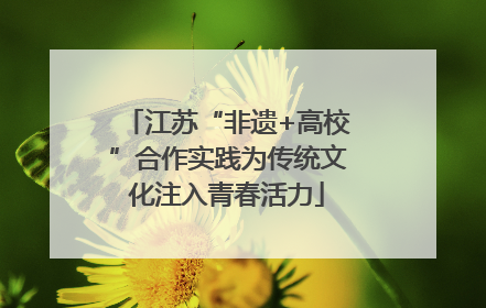 江苏“非遗+高校”合作实践为传统文化注入青春活力