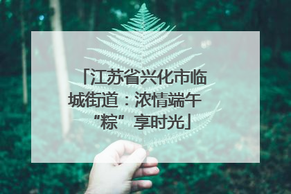 江苏省兴化市临城街道：浓情端午 “粽”享时光