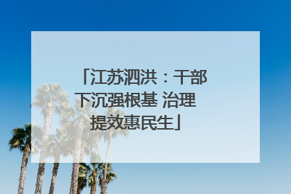 江苏泗洪：干部下沉强根基 治理提效惠民生