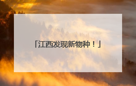 江西发现新物种！