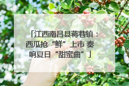 江西南昌县蒋巷镇：西瓜抢“鲜”上市 奏响夏日“甜蜜曲”