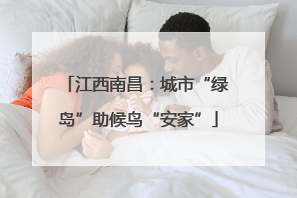 江西南昌：城市“绿岛”助候鸟“安家”