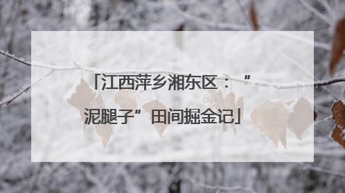 江西萍乡湘东区：“泥腿子”田间掘金记