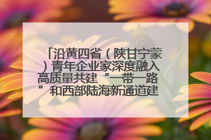 沿黄四省（陕甘宁蒙）青年企业家深度融入高质量共建“一带一路”和西部陆海新通道建设战略合作交流会在甘肃兰州召开