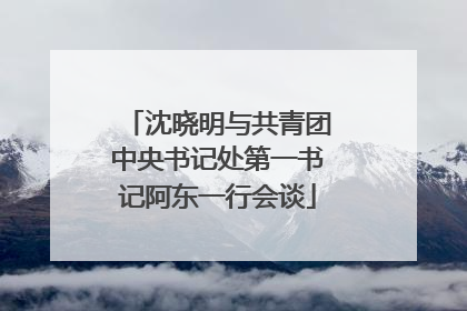 沈晓明与共青团中央书记处第一书记阿东一行会谈