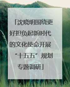 沈晓明围绕更好担负起新时代的文化使命开展“十五五”规划专题调研