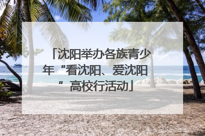沈阳举办各族青少年“看沈阳、爱沈阳”高校行活动
