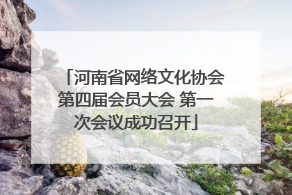 河南省网络文化协会第四届会员大会 第一次会议成功召开