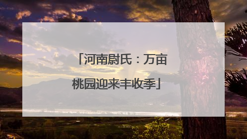 河南尉氏：万亩桃园迎来丰收季