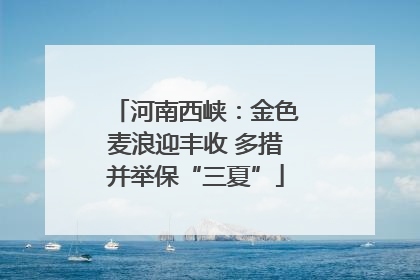 河南西峡：金色麦浪迎丰收 多措并举保“三夏”