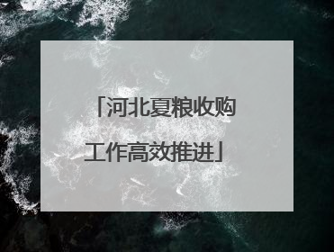 河北夏粮收购工作高效推进