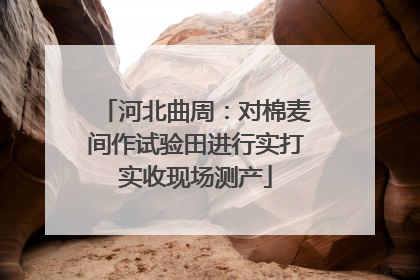 河北曲周：对棉麦间作试验田进行实打实收现场测产