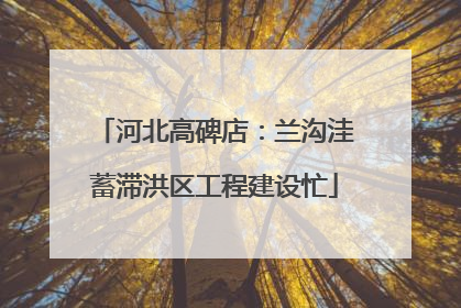 河北高碑店：兰沟洼蓄滞洪区工程建设忙