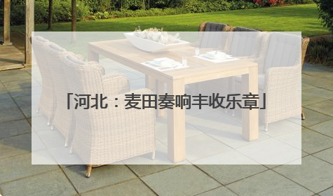 河北：麦田奏响丰收乐章