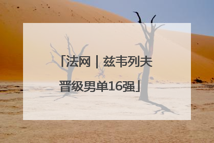 法网｜兹韦列夫晋级男单16强