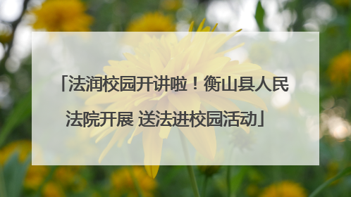 法润校园开讲啦！衡山县人民法院开展 送法进校园活动