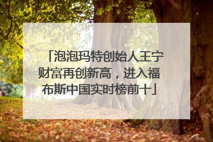 泡泡玛特创始人王宁财富再创新高，进入福布斯中国实时榜前十