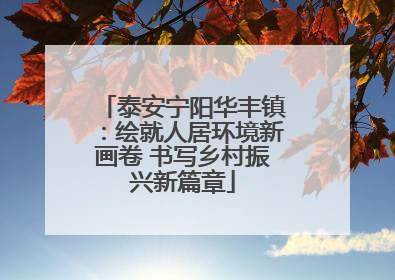泰安宁阳华丰镇：绘就人居环境新画卷 书写乡村振兴新篇章