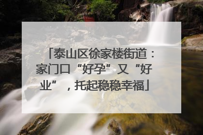 泰山区徐家楼街道：家门口“好孕”又“好业”，托起稳稳幸福