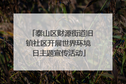 泰山区财源街道旧镇社区开展世界环境日主题宣传活动