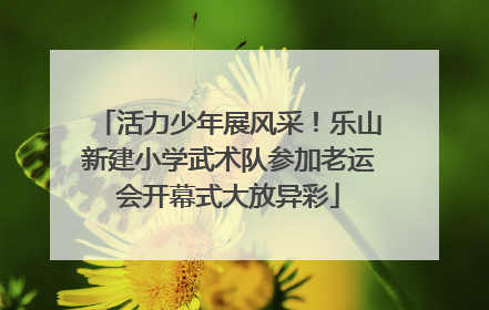 活力少年展风采！乐山新建小学武术队参加老运会开幕式大放异彩