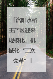 洛阳水稻主产区迎来规模化、机械化“二次变革”