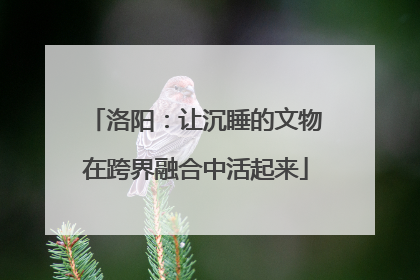 洛阳：让沉睡的文物在跨界融合中活起来