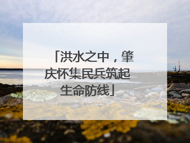 洪水之中，肇庆怀集民兵筑起生命防线
